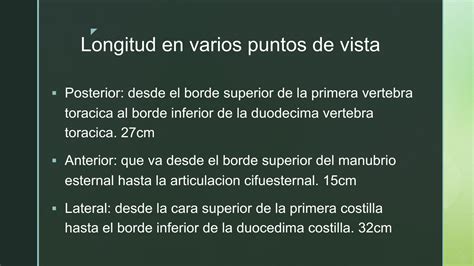 Solution Presentacion Anatomia Del Torax Caja Toracica Cavidad