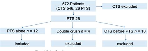 Figure 1 From Outcome Of Surgical Treated Isolated Pronator Teres Syndromes—a Retrospective