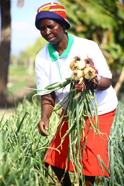 Kenya National Farmers Federation Kenaff On Twitter Creating A