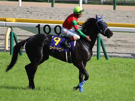 オークス馬は母としても大活躍！ ユーバーレーベンも期待大 競馬ニュース Netkeiba