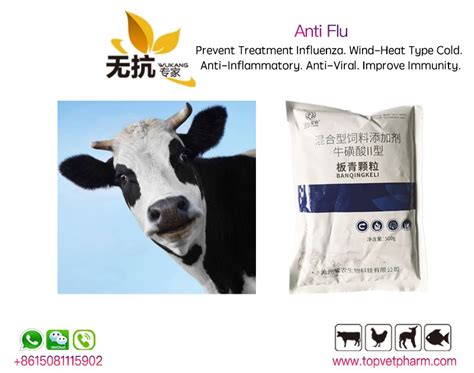 Fast Calcium Supplement For Cattle Sheep Livestock