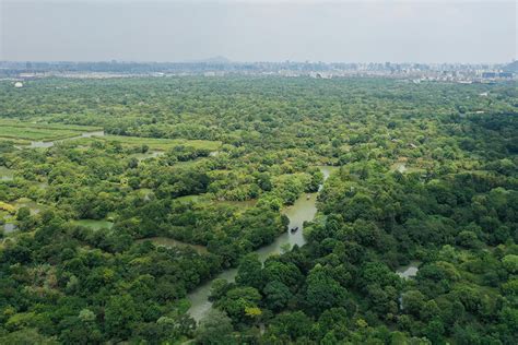 杭州西溪湿地 图片频道 人民网