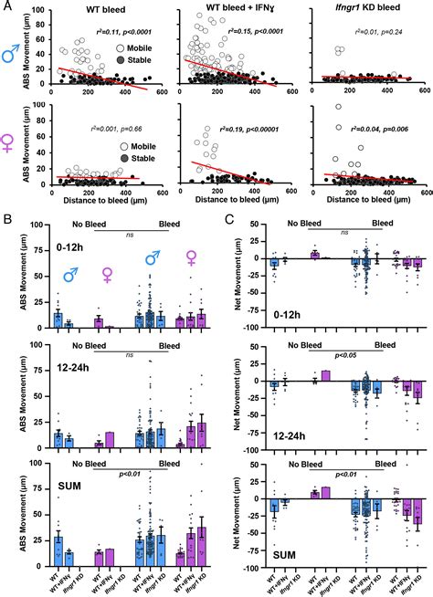 Sex And Interferon Gamma Signaling Regulate Microglia Migration In The