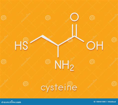 Cisteína Lcysteine Cys C Molécula De Aminoácidos Fórmula Esquelética