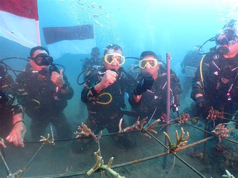 Lestarikan Ekosistem Dan Biota Laut Pangdam Pattimura Tanam Terumbu