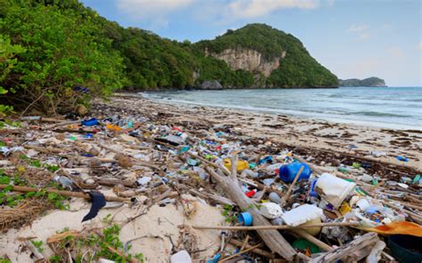 Greenwashing Quei Brand Green Che Inondano Il Mondo Di Plastica