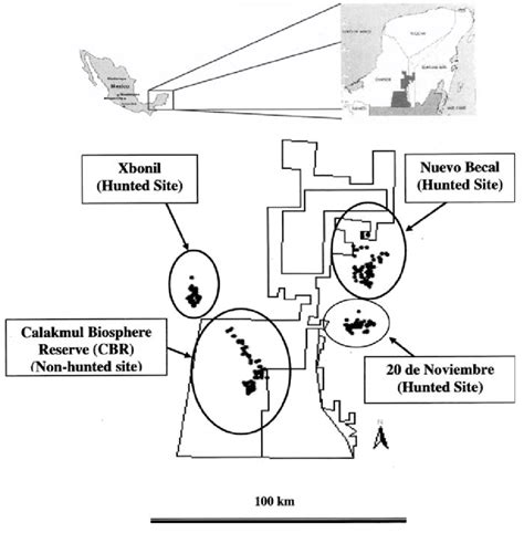 Map of Calakmul region, study sites and transect locations in Calakmul ...