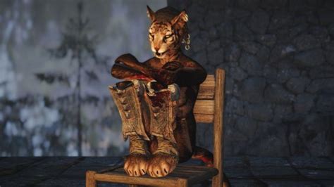 Terres 4k Fur Textures For Coverkhajiits Vanilla Cbbe Unp Bhunp Sos