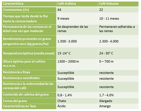 Cu Ntas Variedades De Caf Existen Gu A De Variedades Qu Caf