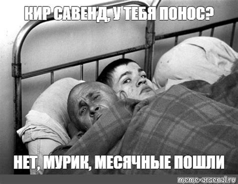 Мем: "КИР САВЕНД, У ТЕБЯ ПОНОС? НЕТ, МУРИК, МЕСЯЧНЫЕ ПОШЛИ" - Все ...
