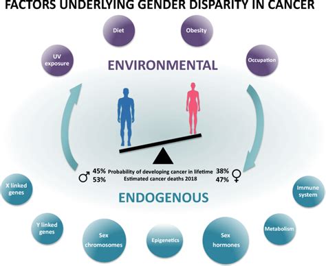 Endogenous And Environmental Factors Contributing To Sexual Dimorphism