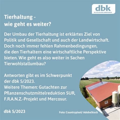 Deutscher Bauernverband E V Dbk Interview Mit Dbv