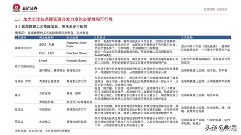 有色金属锂行业专题研究报告：全球盐湖提锂的战略发展机遇分析 报告精读 未来智库