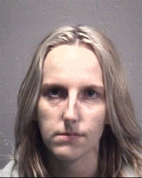 Chandler Amber Nicole New Hanover County Mugshots Zone