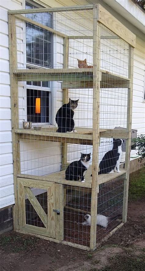 30+ DIY Catio Ideas That Are Totally Pawsome | Diy cat enclosure, Cat ...