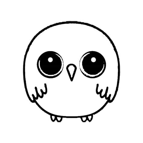 Learn How To Draw A Cute Owl Drawing Step By Step Drawings