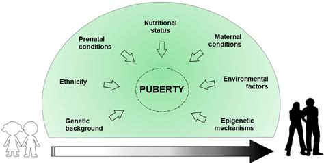 Frontiers Genetic Epigenetic And Enviromental Influencing Factors On