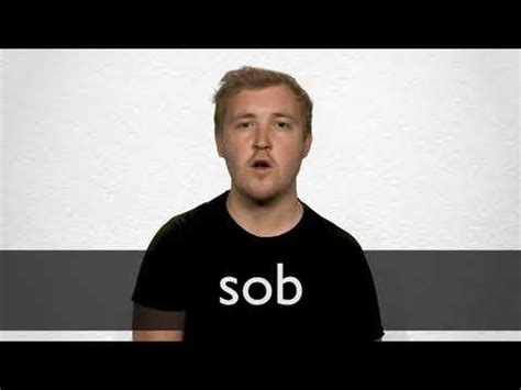 SOB - Learn the Meaning, Synonyms & Translations | Collins English ...