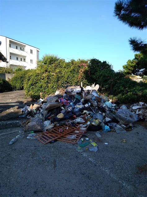 Commemorazione Dei Defunti A Reggio Ripuliti I Cimiteri Rimosse