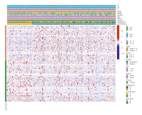 Analyzing Ferroptosis Related Genes By Principal Component Analysis