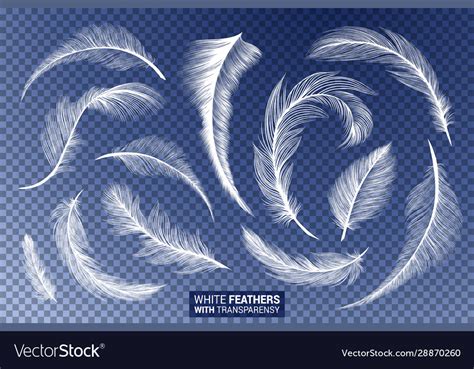 White Fluffy Feathers Realistic Transparent Effect