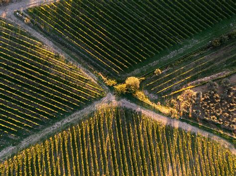 Wandelvakantie Toscane Comfort Ontdek De Wijnstreek Chianti