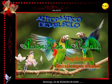 Musica El Amigo De Los Pajaros Domingo 02 De Diciembre De 2018