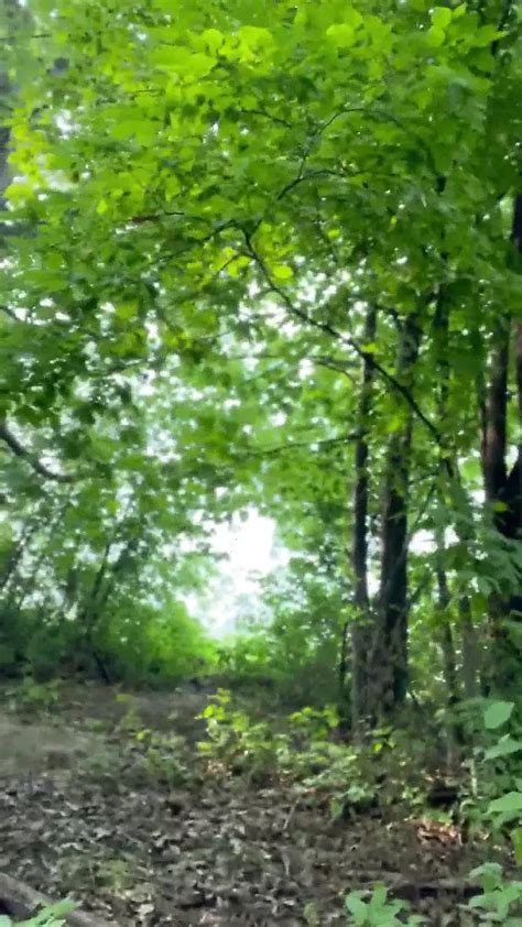 Walking Around Naked In The Woods My Cock And Balls Bouncing Around