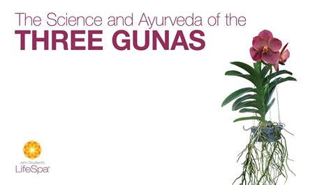 The Science And Ayurveda Of The Three Gunas Dr John Douillard S Lifespa Youtube