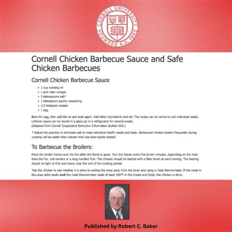 This 1 Delicious And Crunchy Mcdonalds Chicken Nuggets Recipe Is Spot On
