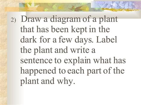 Plants Year 6 Ks2 Ppt