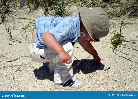 Boy On Beach Picking Up Pebbles Stock Photo Image 1051182