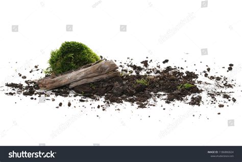 Green Moss On Soil Dirt Pile Stock Photo 1186886824 Shutterstock