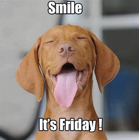 Smile Its Friday Quotes For A Happy Weekend