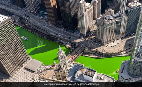 When Is Chicago Dying River Green Dede Sisely