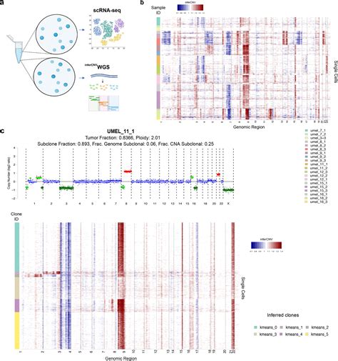 Multimodal Single Cell And Whole Genome Sequencing Of Small Frozen