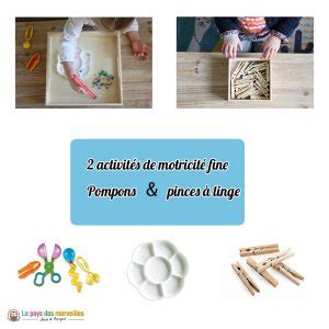 Activit S De Motricit Fine Avec Des Pompons Et Des Pinces Linge