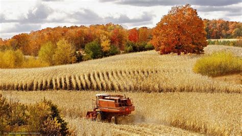 Harvest Autumn Wallpaper Free | Farm life, Scenery, Harvest