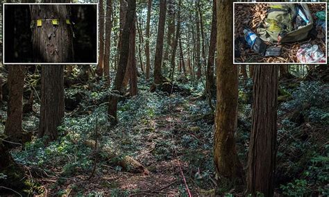 Haunting Images From Inside Japan S Suicide Forest Daily Mail Online