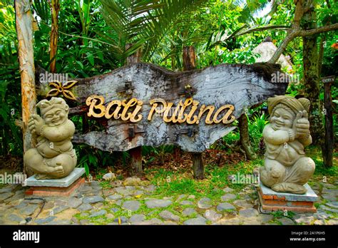 UBUD, INDONESIA - August 30, 2019: Bali Pulina coffee plantation in Bali Stock Photo - Alamy