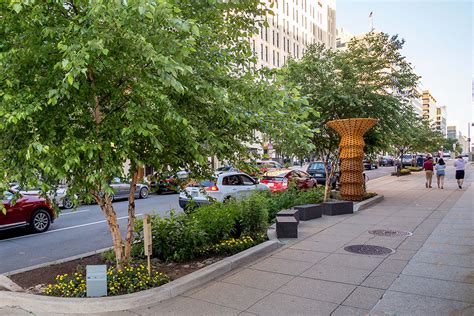 Rain Gardens Golden Triangle