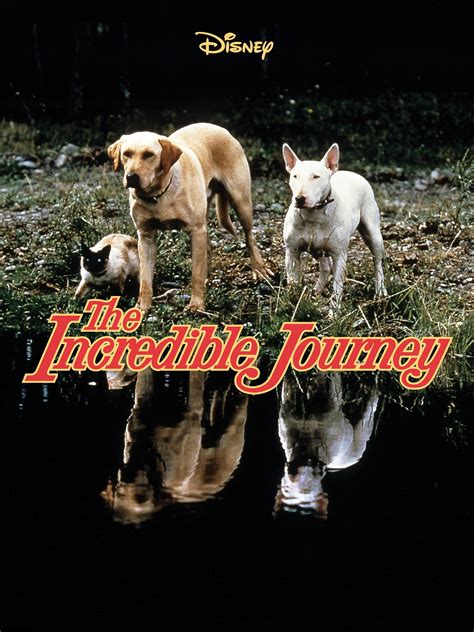 Prime Video The Incredible Journey 1963