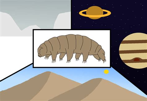 creatures  outer space  wildandnaturefan  deviantart