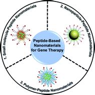 Peptide Based Nanomaterials For Gene Therapy Nanoscale Advances RSC