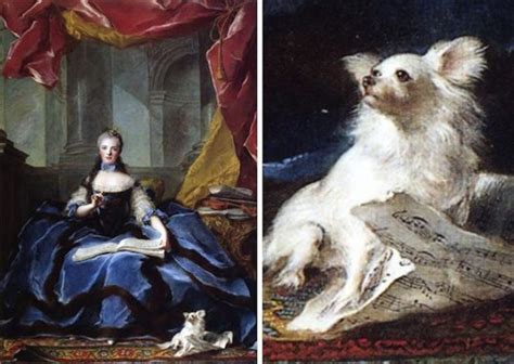 History of the Pomeranian - K9 Research Lab