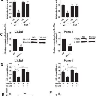 MiR 613 Was Down Regulated In Pancreatic Cancer Tissues And Cancer