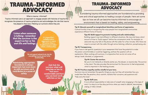 Trauma Informed Advocacy Families First Domestic Violence And