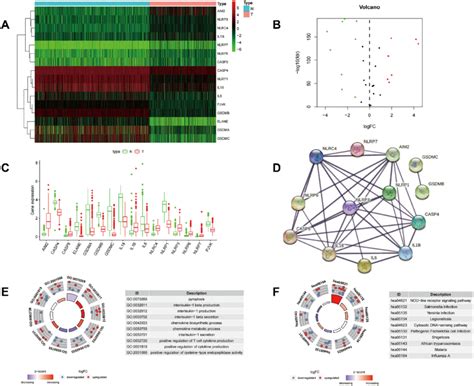 Differential Gene Expression Analysis Based On Skin Cutaneous Melanoma