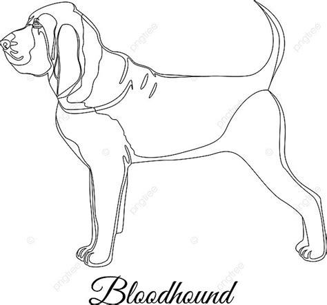 Bloodhound Dog Outline Isolated Contour Hound Vector, Isolated, Contour ...