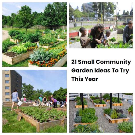 Small Community Garden Ideas To Try This Year Sharonsable